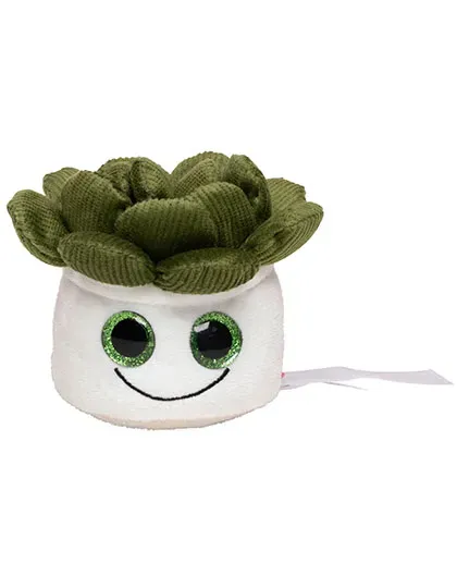 Schmoozies® Evergreenies® Succulent